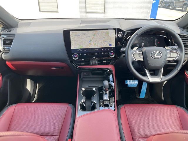 LEXUS NX250