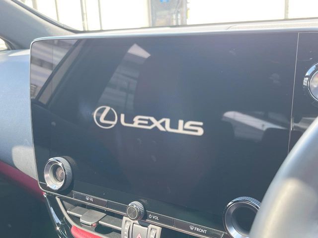 LEXUS NX250