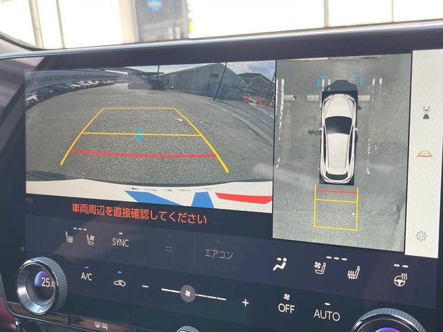 LEXUS NX250