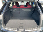 LEXUS NX250