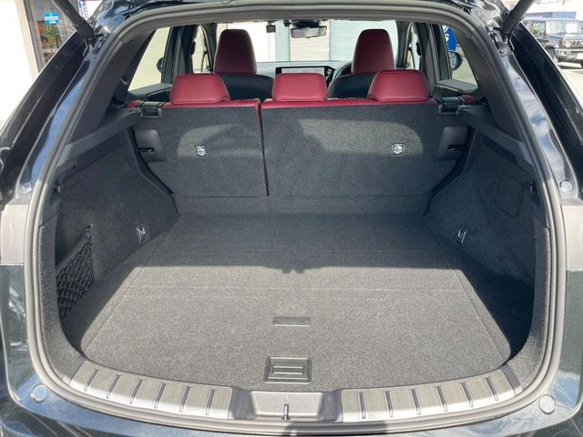 LEXUS NX250