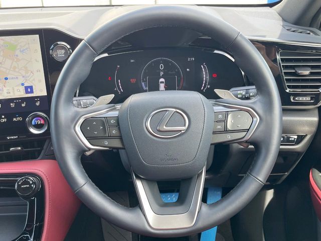 LEXUS NX250