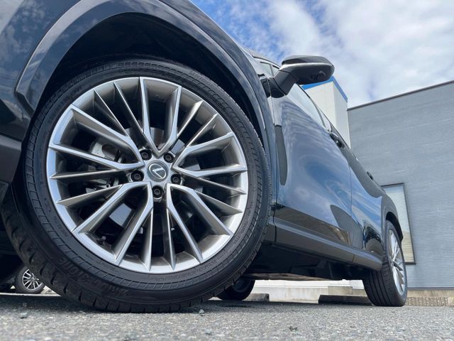 LEXUS NX250