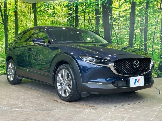 CX-30