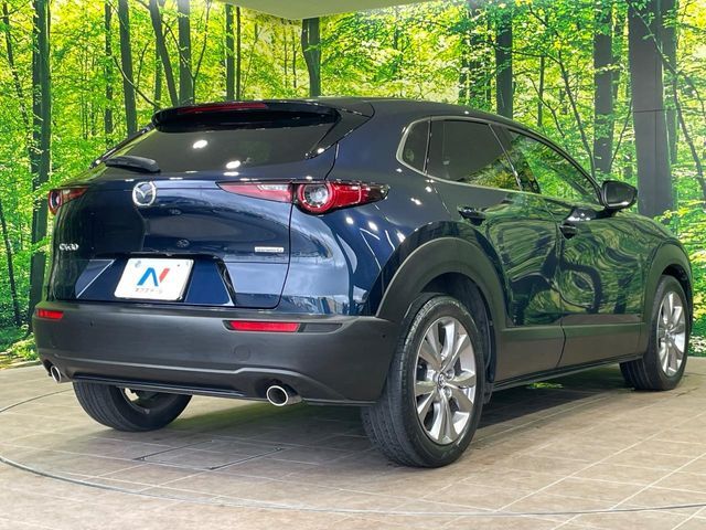 CX-30