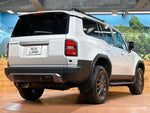 LANDCRUISER 250