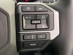 LANDCRUISER 250