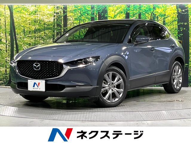 CX-30