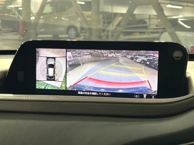 CX-30