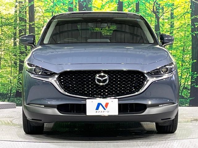 CX-30