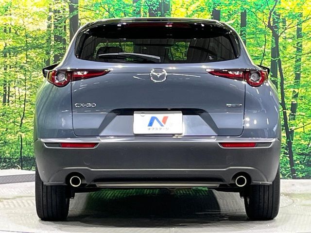 CX-30