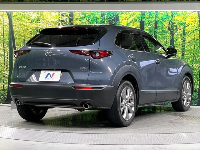 CX-30