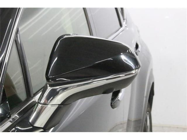 LEXUS NX200t