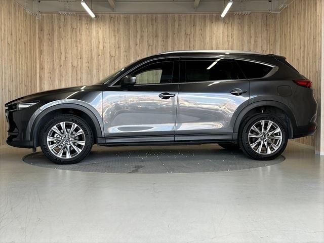 CX-8