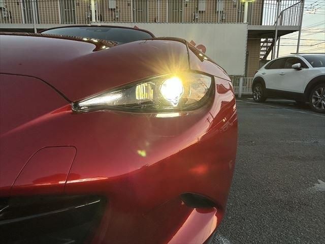 ROADSTER RF