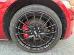 ROADSTER RF