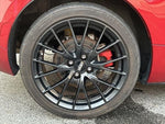 ROADSTER RF