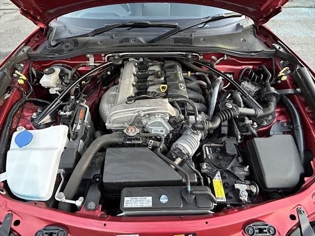 ROADSTER RF