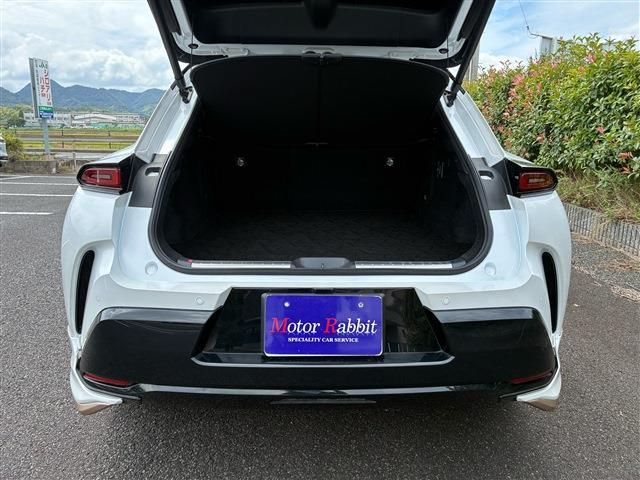 CROWN SPORT