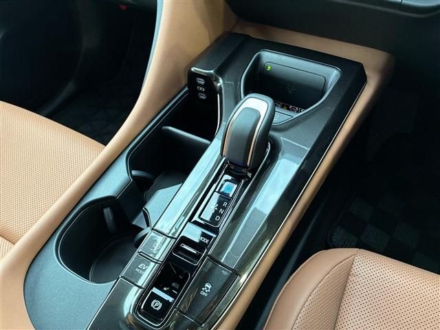 CROWN SPORT
