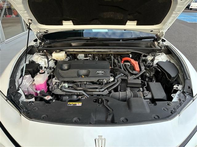 CROWN SPORT