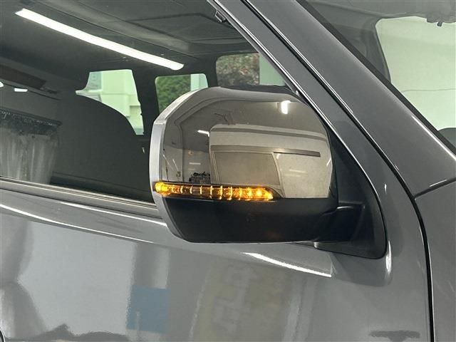 CARAVAN van 4WD