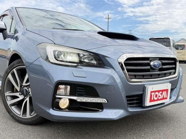 LEVORG