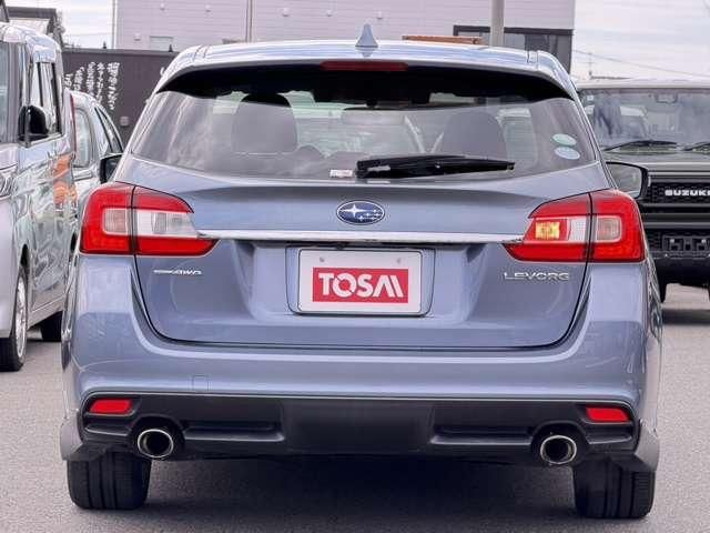 LEVORG
