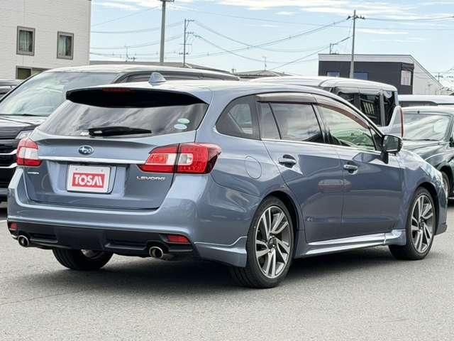 LEVORG