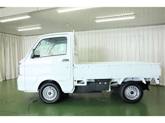 CARRY truck