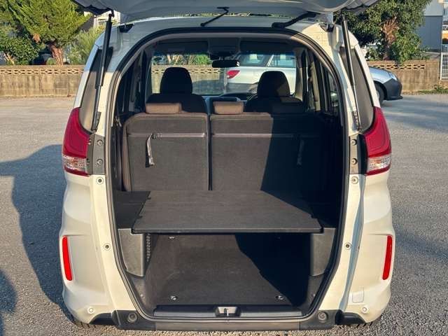 FREED plus HYBRID