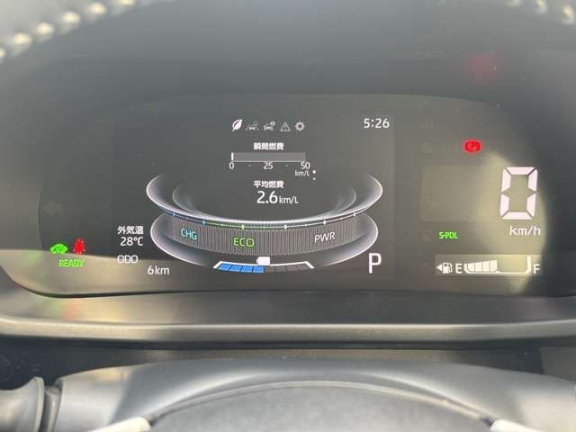 RAIZE HYBRID