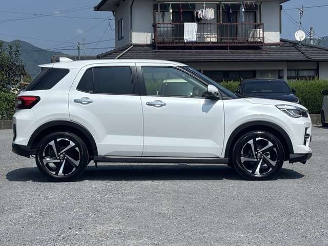RAIZE HYBRID
