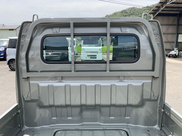 CARRY truck