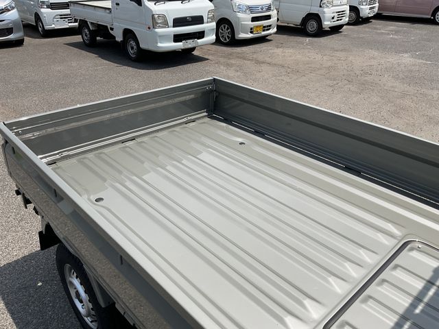 CARRY truck