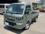 CARRY truck