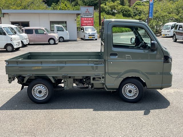 CARRY truck