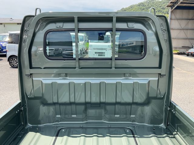 CARRY truck