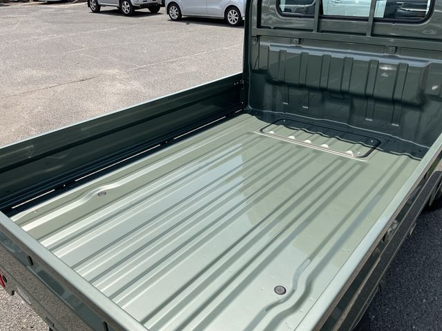 CARRY truck