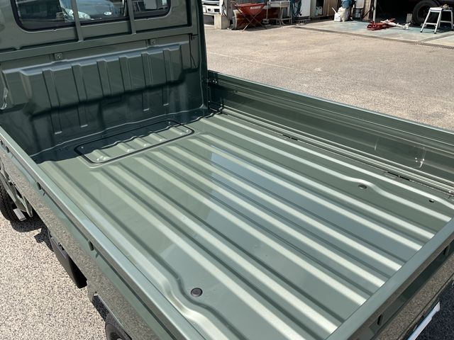 CARRY truck