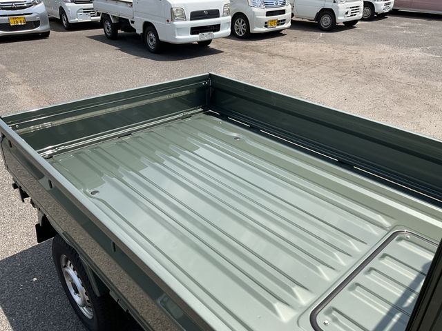 CARRY truck