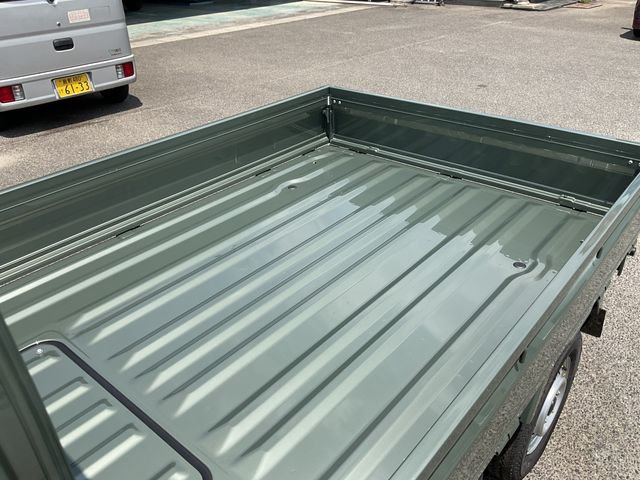 CARRY truck