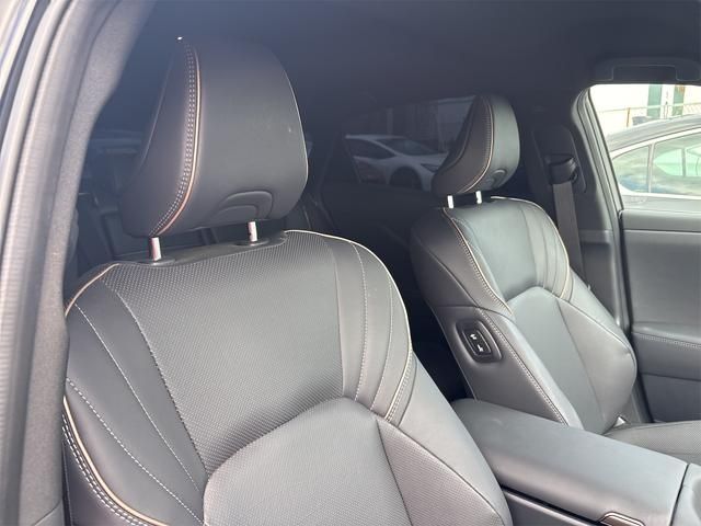CROWN SPORT