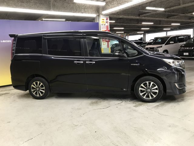 ESQUIRE HYBRID