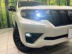 LANDCRUISER PRADO
