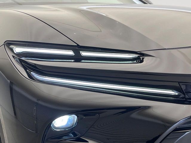 CROWN SPORT