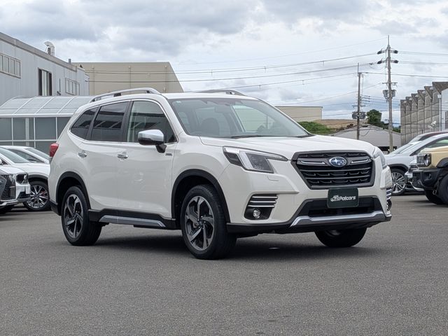 FORESTER