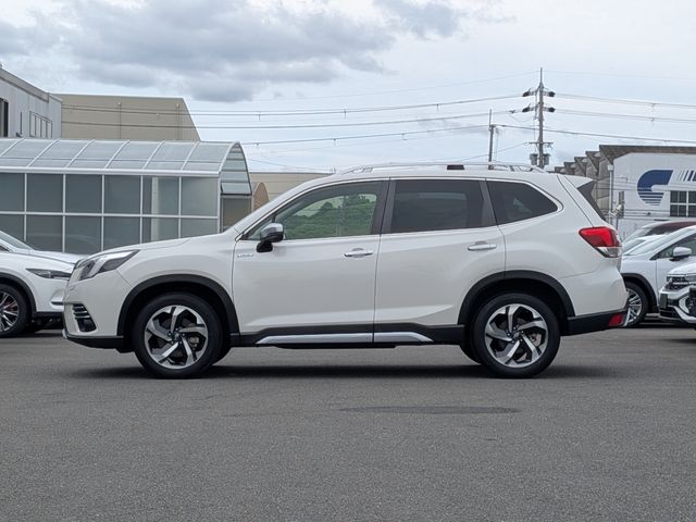 FORESTER