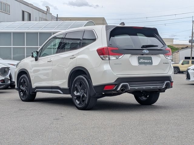 FORESTER