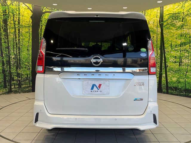 SERENA  S-HYBRID
